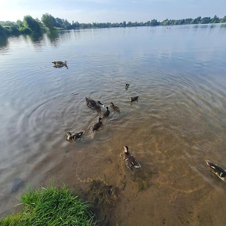 Ferienhaus Am See-2 Hungen Экстерьер фото