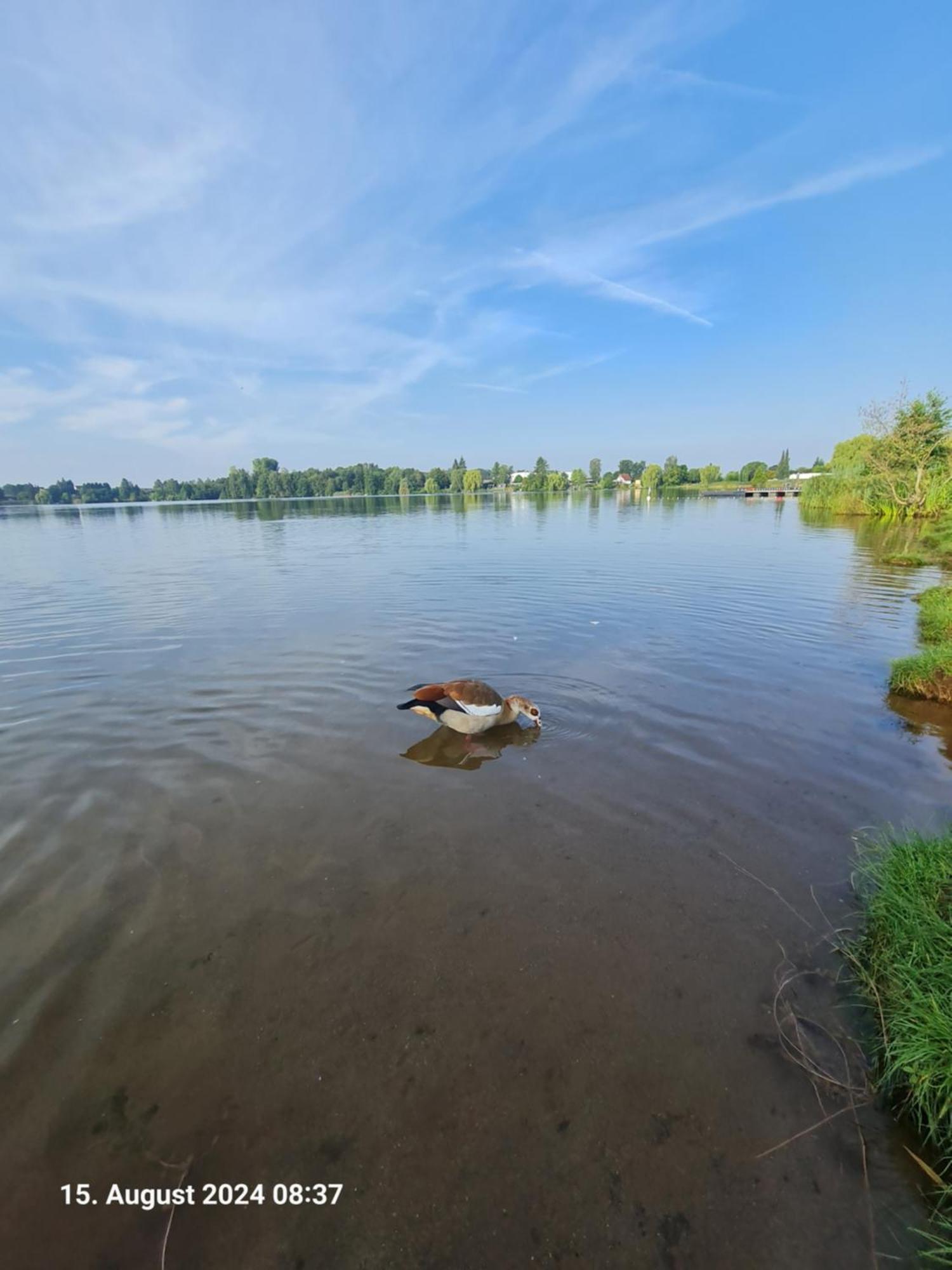 Ferienhaus Am See-2 Hungen Экстерьер фото